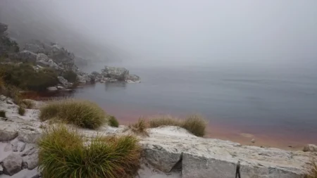 Delete_10070112Master