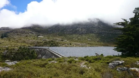 Delete_10070113Master