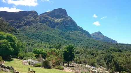 Delete_10070114Master