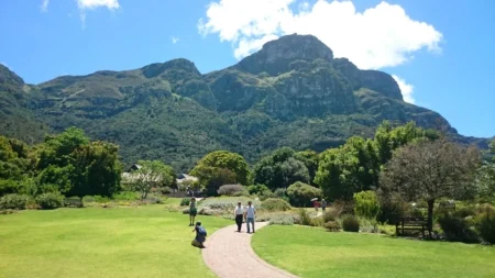 Delete_10070115Master