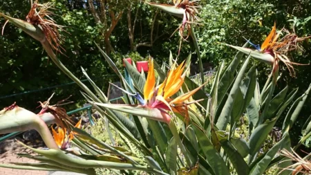 Delete_10070258Master