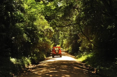 Delete_17453101Master