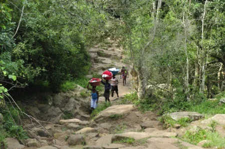 Delete_17453118Master