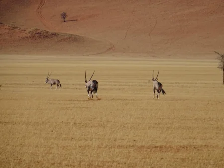 Delete_56552550Master