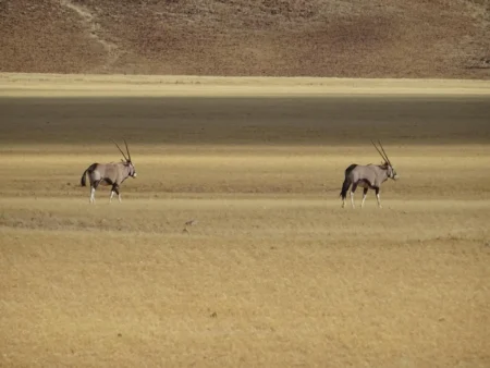 Delete_56552553Master