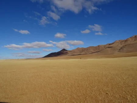 Delete_56552558Master