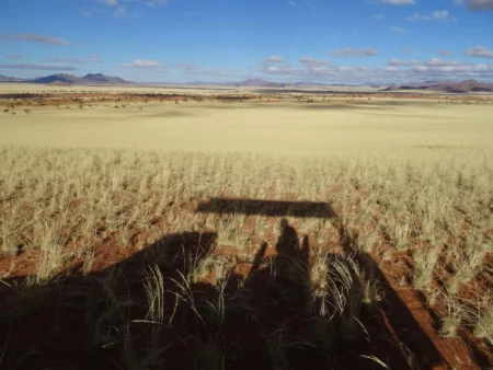 Delete_56552567Master