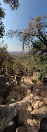 Delete_94998918Master