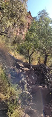 Delete_94998925Master