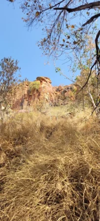 Delete_94998927Master