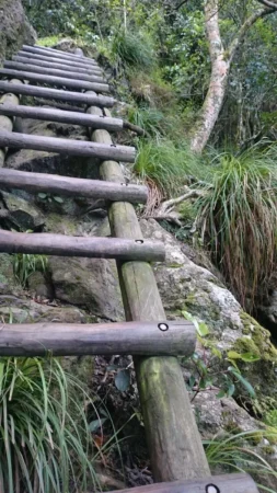 Delete_9670939Master