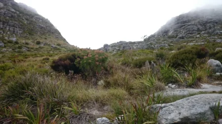 Delete_9670948Master