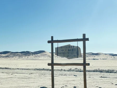 Delete_98680917Master