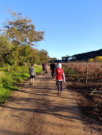 506637368_719345907453493_1538103249698195716_n