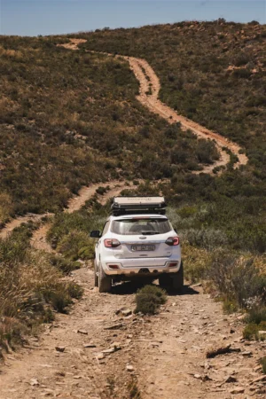 _dsc4455-enhanced-nr82c433b