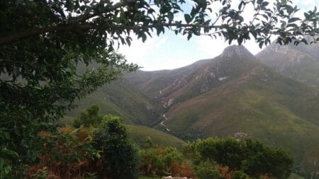 20160322-135027-largejpg