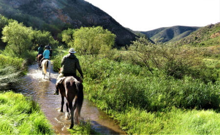 baviaans camino day 40360