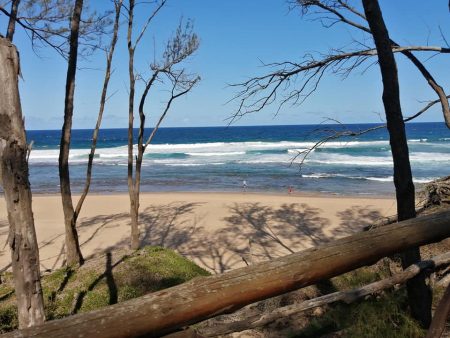 482072562 1184387323474466 3348042264597657591 n