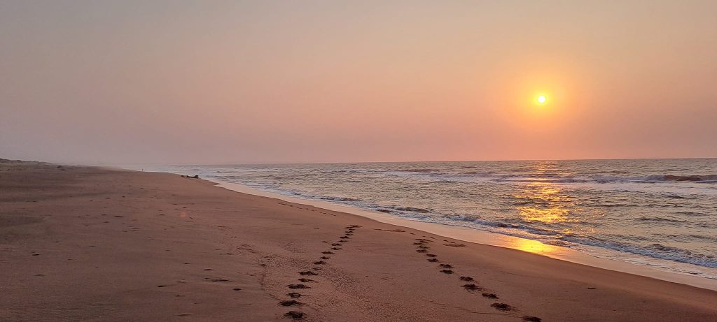 483526325 1062552305894161 3723422549296813972 n