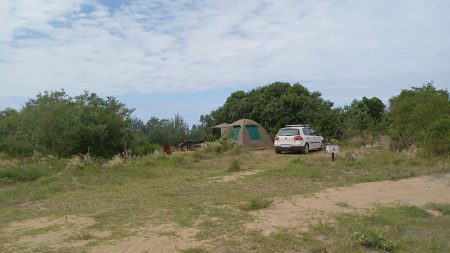 byo low cars can access