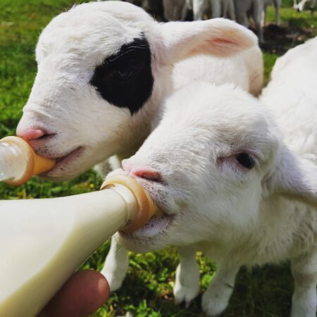 img 20191001 065453 707