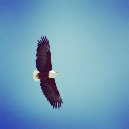 img 20200424 074507 354