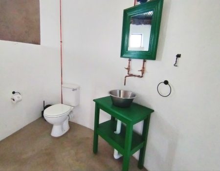 img 20241213 122220 edit 1259818215519414