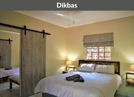 rotsinbos dikblas bush chalets accommodation gallery 2