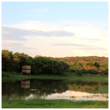 rotsinbos local game drive gallery 1