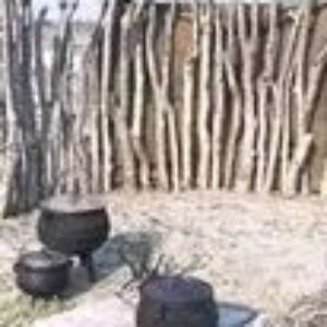 Profile photo of Peter Sinvula