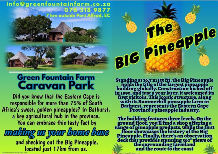 reason 8 the big pineapple