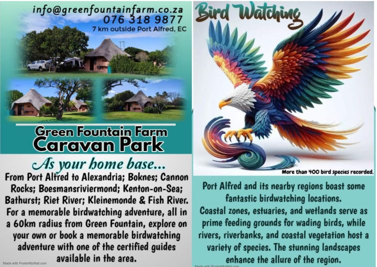 reason 6 bird watching