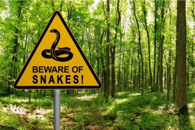 stay away from snake