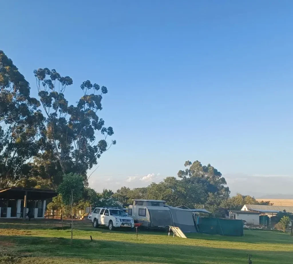 276168374 1032466857353647 768182091935947521 n